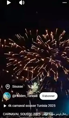 Archiv des Karnevals Aoussou